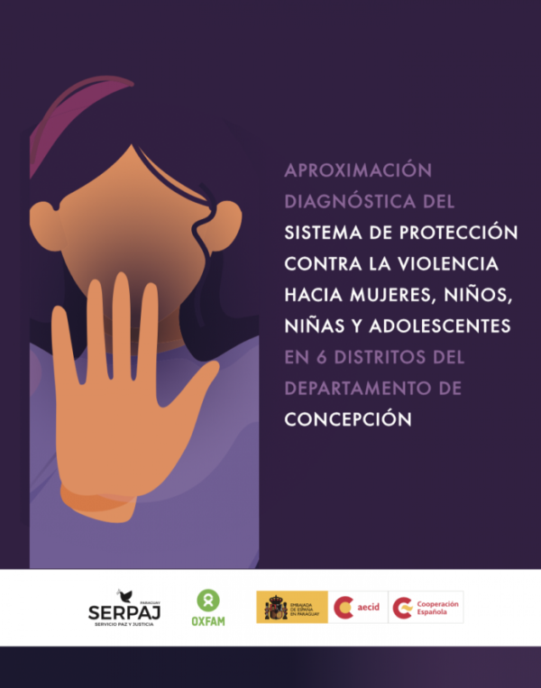 Aproximación diagnóstica del sistema de protección contra la violencia hacia mujeres, niñas, niños y adolescentes en 6 distritos del departamento de Concepción